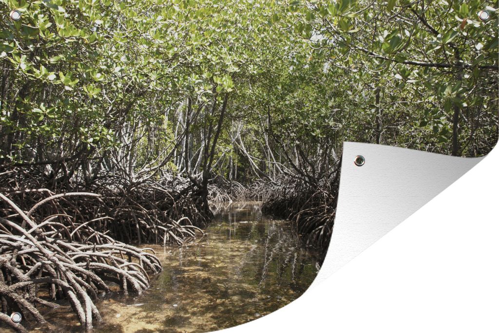 MuchoWow 60x40 cm Outdoor-Poster Gartendeko Sichtschutz Garten Poster für den Garten Baumwurzeln über dem Wasser eines Baches im Mangroves Nat...