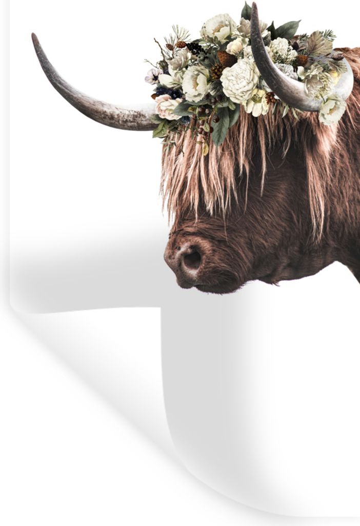 MuchoWow Wandtattoo Wandsticker Wandaufkleber Schottischer Highlander - Kuh - Rosen 40x80 cm Selbstklebend und Repositionierbar - Repositionierba...