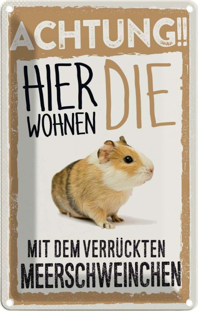 vianmo Blechschild 30x20 cm Tiere Achtung hier Meerschweinchen Tier Haustier