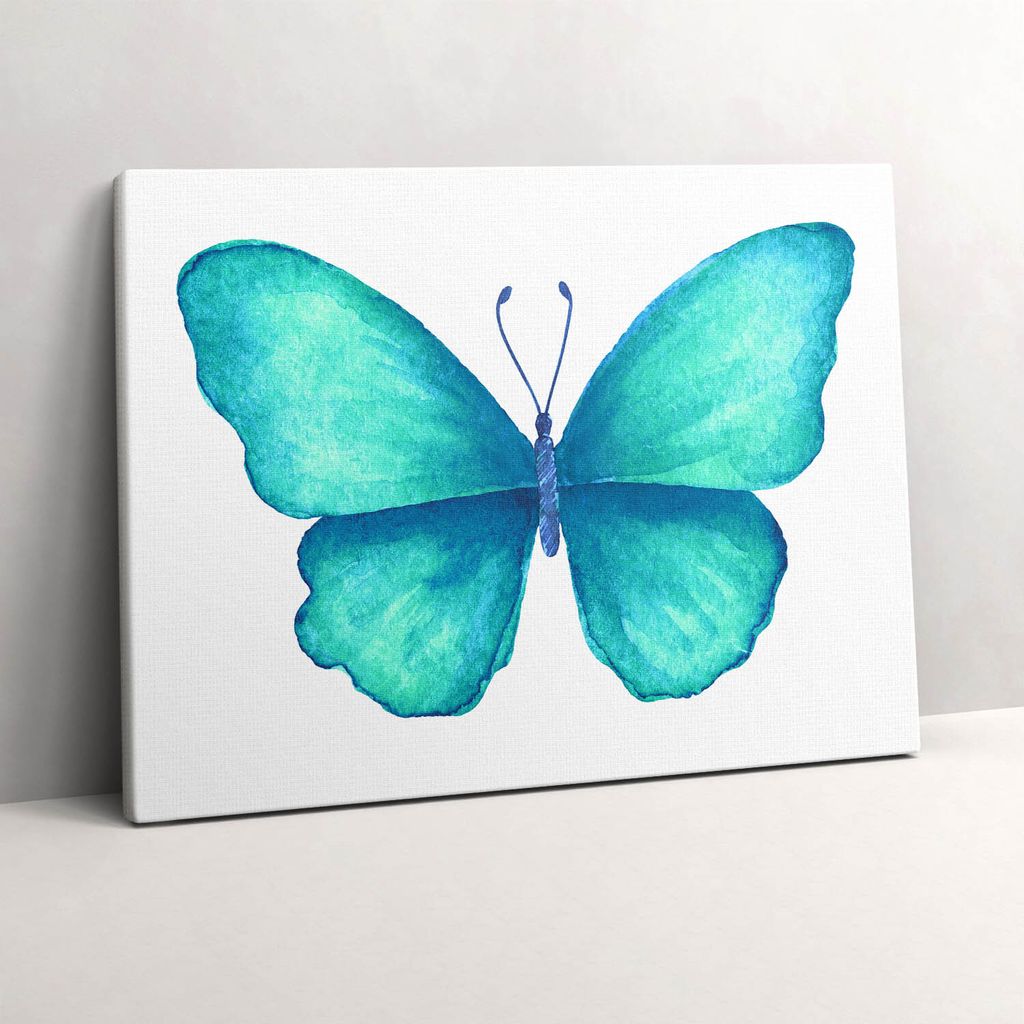 Türkisfarbener Sommerschmetterling – Leinwandbild Wandbild – 80x60 cm – Leinwandbilder – Wandbilder – Schlafzimmer – Flur