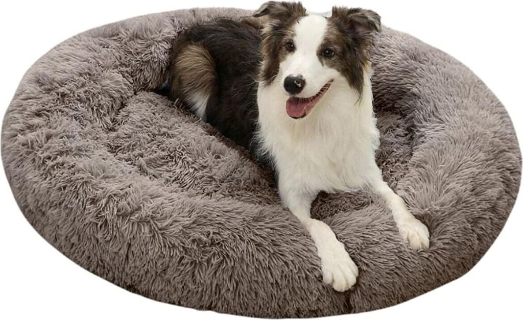 KASENTEX Rundes Hundebett – 50,8x50,8 Cm, Grau – Rutschfeste Unterseite, Maschinenwaschbar – Für Kleine Hunde