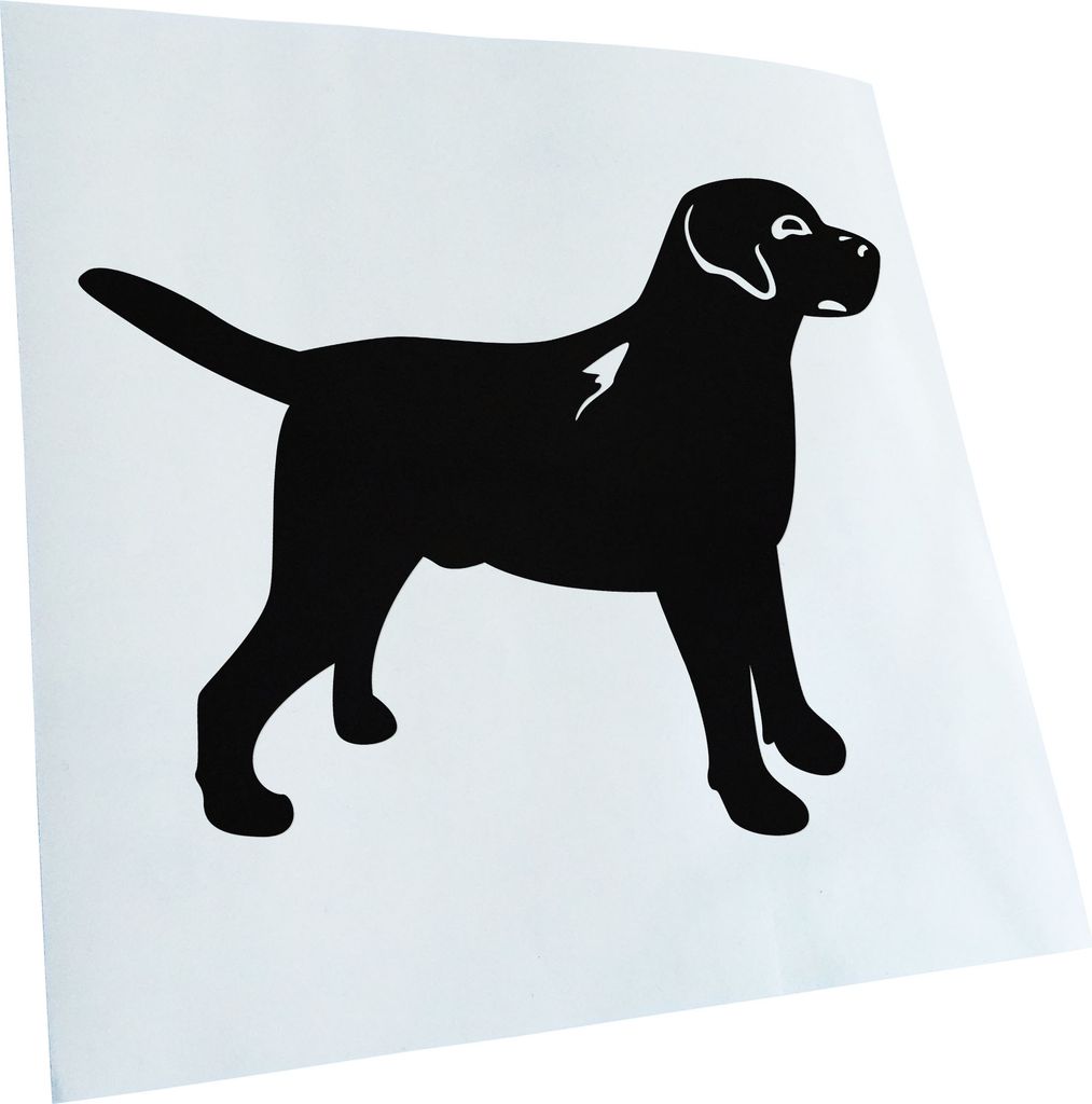 Kiwistar - Autoaufkleber - schwarz - 30 x 24 cm - Hund Dog - Heckscheibenaufkleber - Aufkleber für Auto Kfz Fahrrad, LKW, Truck Mofa