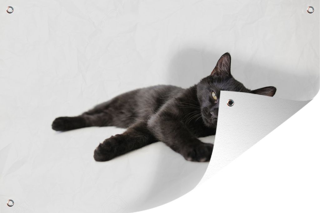 MuchoWow 60x40 cm Outdoor-Poster Gartendeko Sichtschutz Garten Poster für den Garten Liegende schwarze Katze