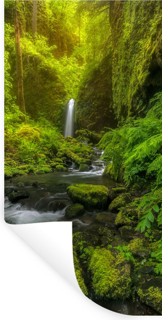 MuchoWow Wandtattoo Wandsticker Wandaufkleber Schönes Bild vom Dschungel 60x120 cm Selbstklebend und Repositionierbar - Selbstklebend - Fototapeten