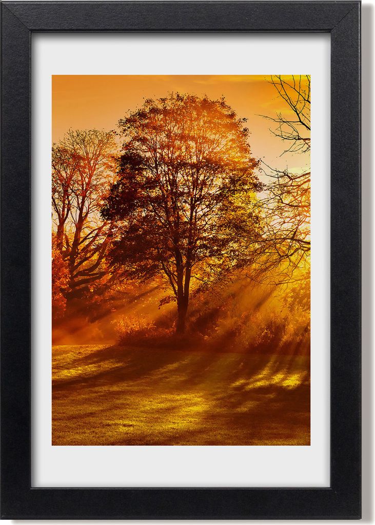 Bild 20x30 MDF-Rahmen, Wandkunst Park im Herbst Produktbild 
