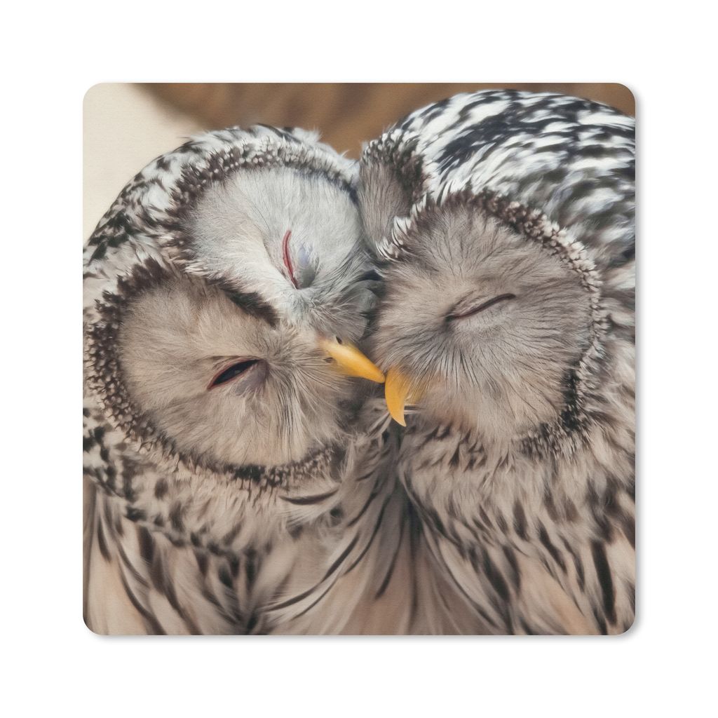 MuchoWow Mauspad Mousepad Eulen - Vögel - Schnabel - Familie 30x30 cm - Mousepads - Maus Mat - Pad - Mausunterlage - Gaming