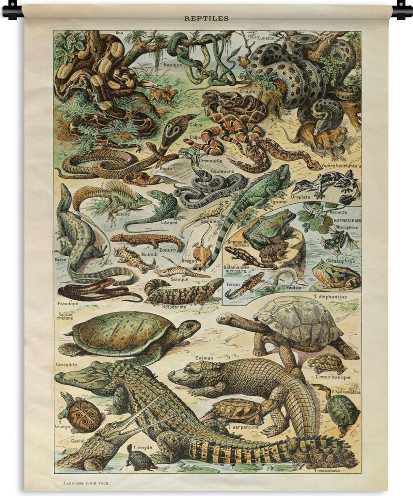 MuchoWow Wandteppich Wandbehang Tiere - Reptilien - Gestaltung 120x160 cm Tapisserie Dekoration Wandtuch - Wohnzimmer - Moderne