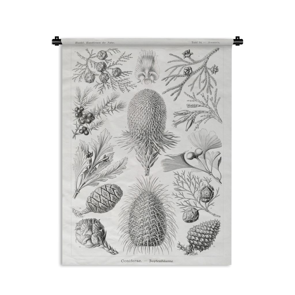 MuchoWow Wandteppich Wandbehang Koniferen - Ernst Haeckel - Kunst - Retro - Illustration - Natur 120x160 cm Tapisserie Dekoration Wandtuch - Wohn...