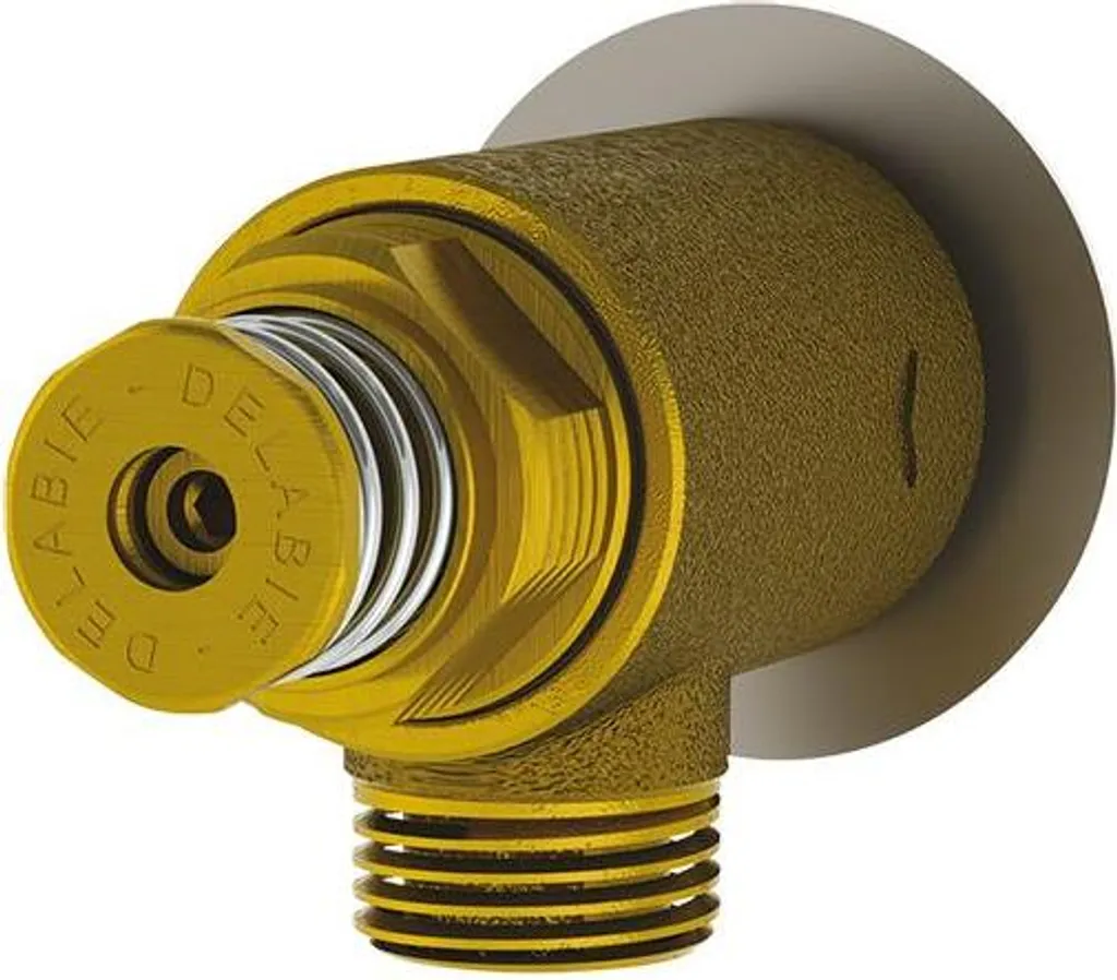 Recensione Delabie TEMPOSTOP 746000: Il Re dei Rubinetti a Tempo 7s