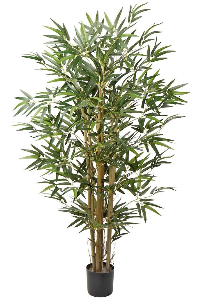 Künstlicher Bambusbaum, dekorative Pflanze mit echtem Holzstamm in einem stabilen, zementierten Topf, Sichtschutz für Terrasse oder Balkon, Höhe...
