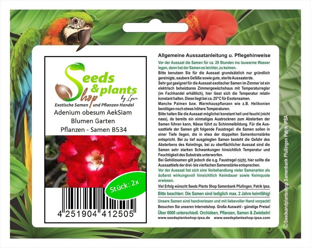 2x Adenium obesum AekSiam Blumen Garten Pflanzen - Samen B534