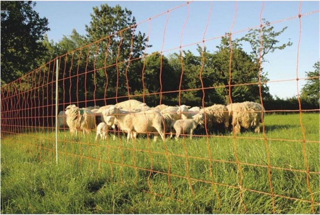 Euro Netz Jumbo 106/2 50m Doppelspitze Weidezaun