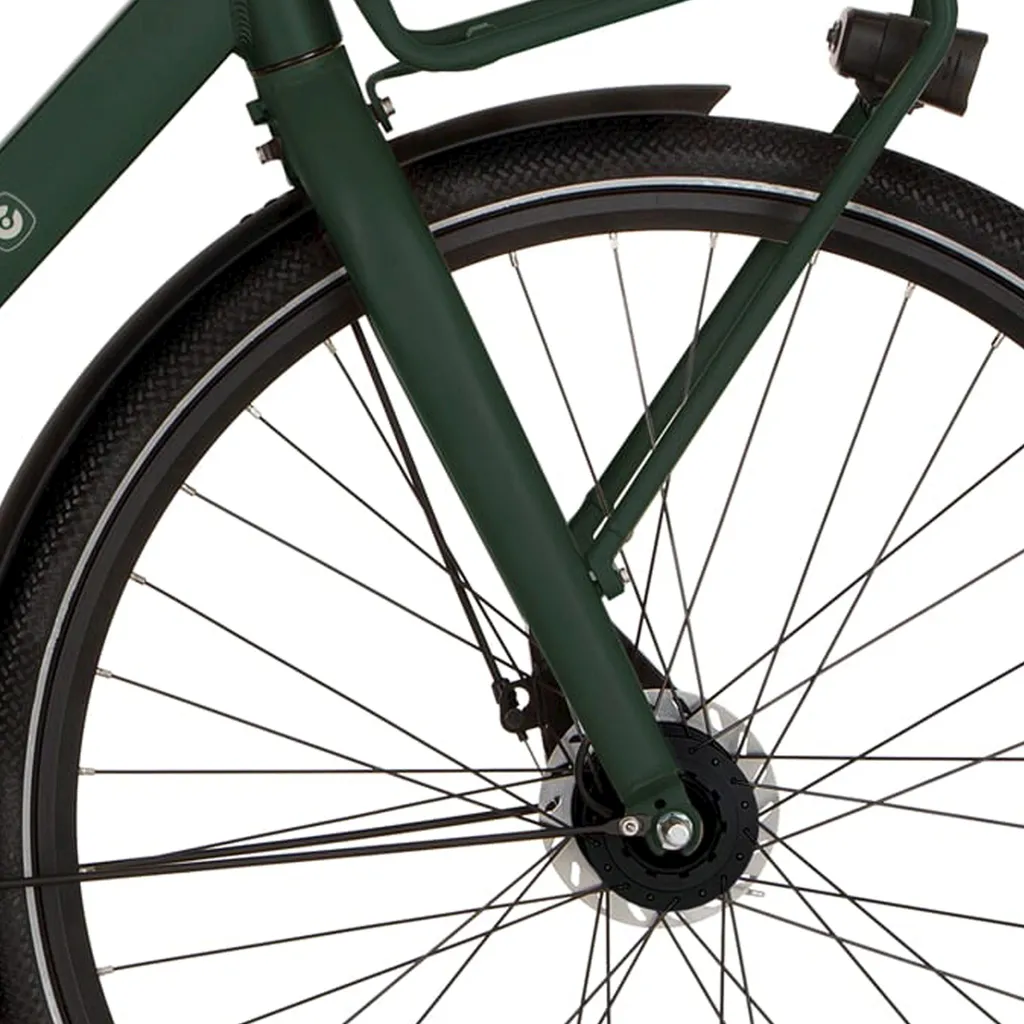 Fourche de vélo Cortina Common coloris Vert Foncé Métallisé Mat 28"