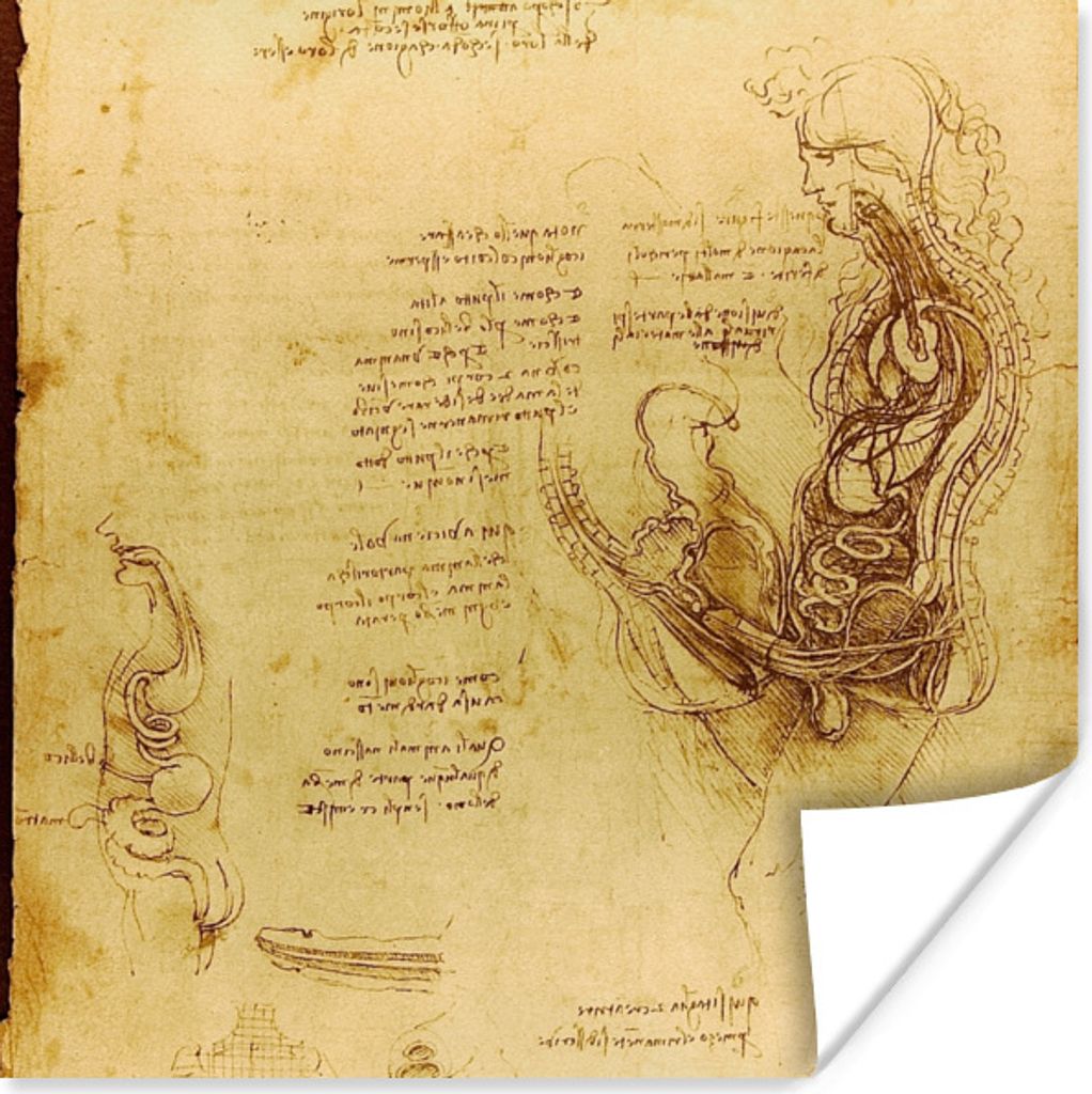 MuchoWow Poster Die menschliche Fortpflanzung - Leonardo da Vinci 50x50 cm - Wohnzimmerdekoration