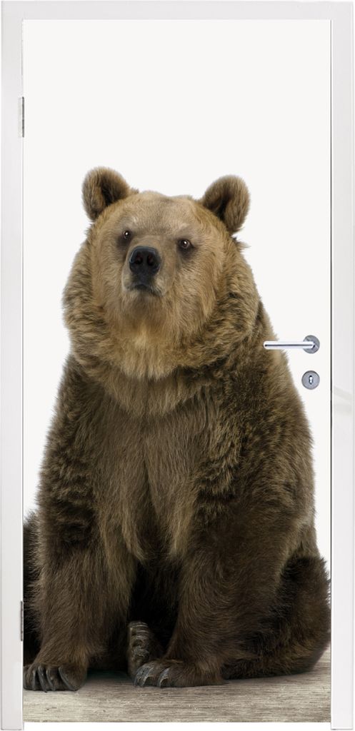 MuchoWow Türtapete Selbstklebende Türfolie Braunbär - Tiere - Bär - Niedlich - Jungen - Mädchen 85x205 cm Türposter Türaufkleber Klebefoli...