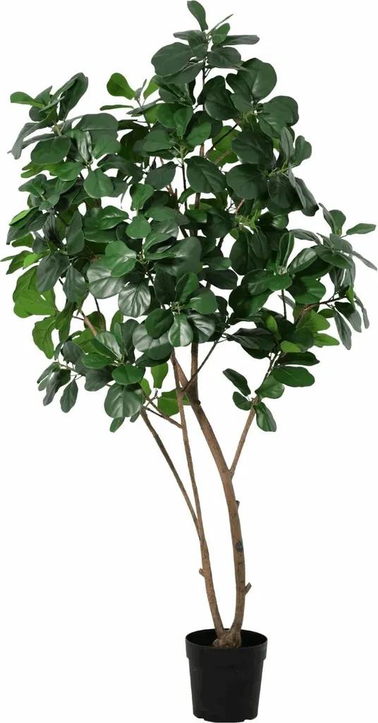 Ficus Lyrata Artificiel Réaliste 180 cm - Feuillage Dense et Luxuriant