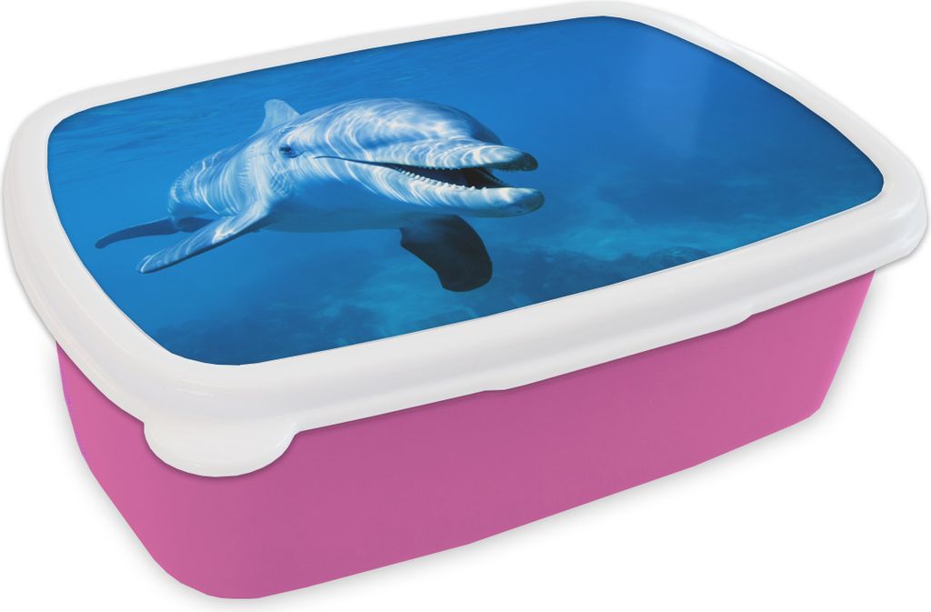 KitchenYeah Lunchbox Brotzeit Brotdose 17x11 cm Delfin - Wasser - Meer Kinder Brotzeitdose - Lunchpaket - Brotkasten - Sandwich Box