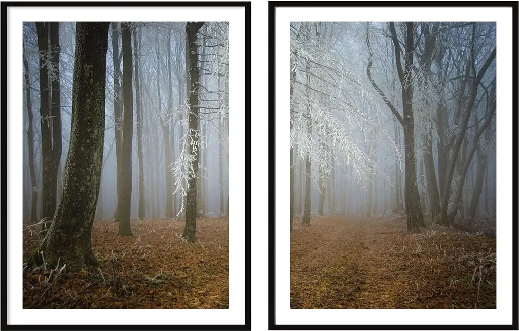 Diptique forêt d'automne encadré 53x73 cm lot de 2 haute qualité P2093
