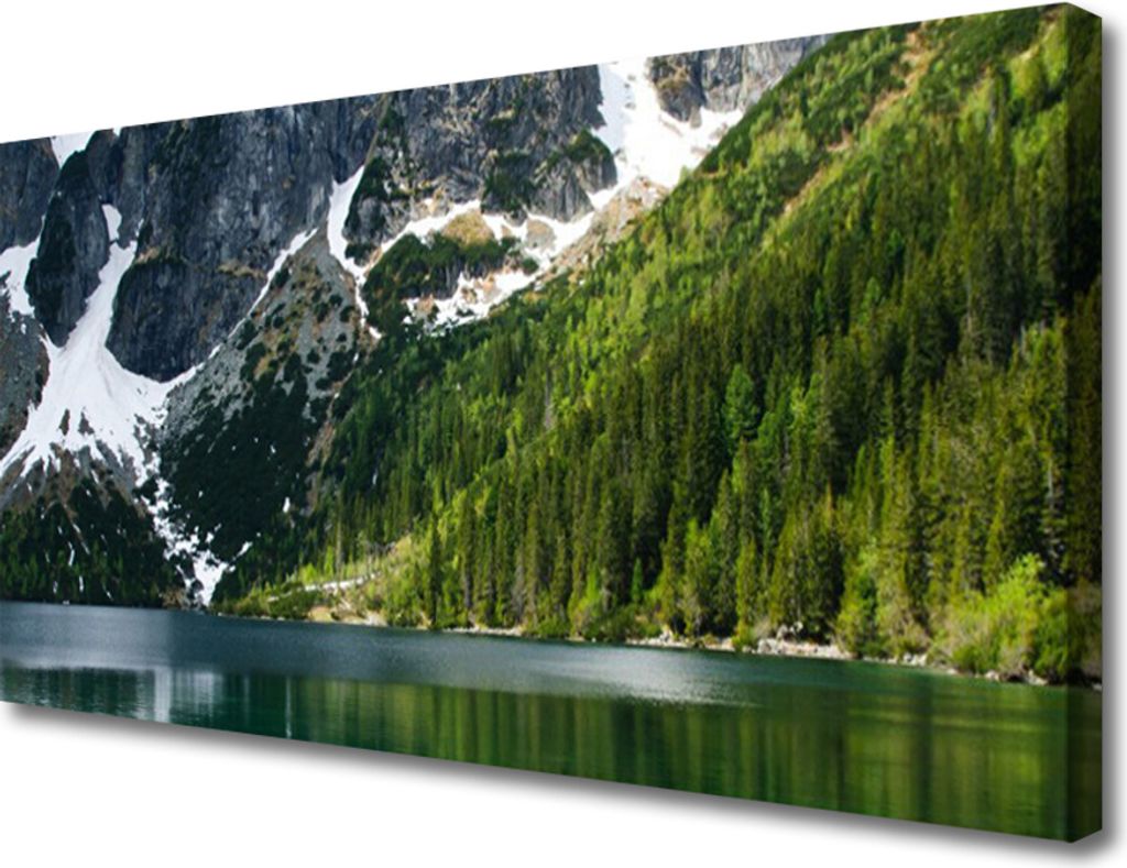 Tulup Leinwand-Bilder 100x50 Wandbild Canvas Kunstdruck See Wald Gebirge Landschaft