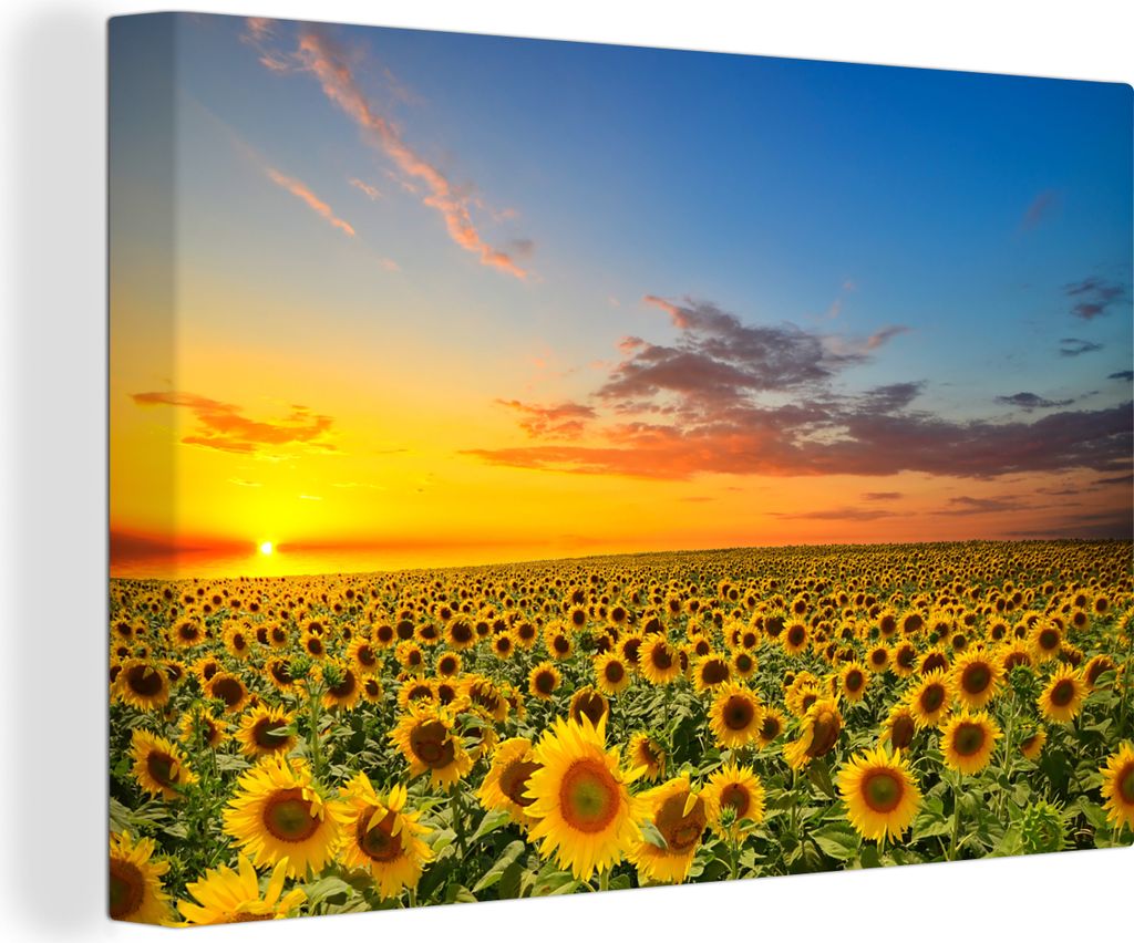 OneMillionCanvasses - Leinwandbilder - 150x100 cm, Blumen - Sonnenblume - Sonnenuntergang - Nacht - Orange, Wandbilder Kunstdruck Wanddekoration ...