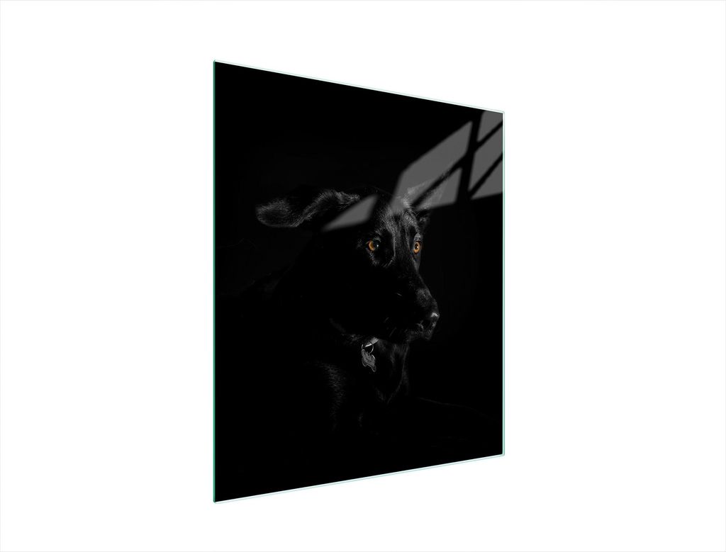 Glasschneidebrett 45x52 Hund