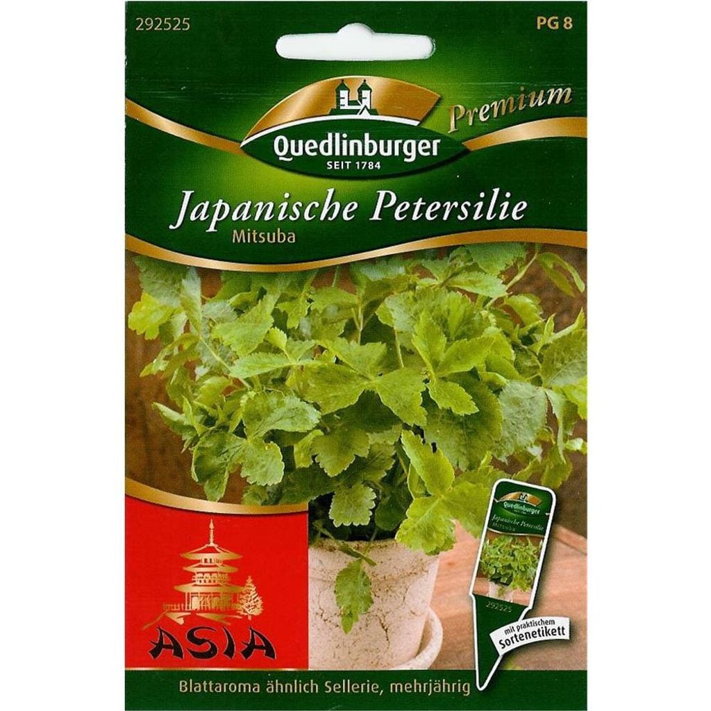 Quedlinburger Saatgut - Japanische Petersilie Mitsuba - Produktbild 
