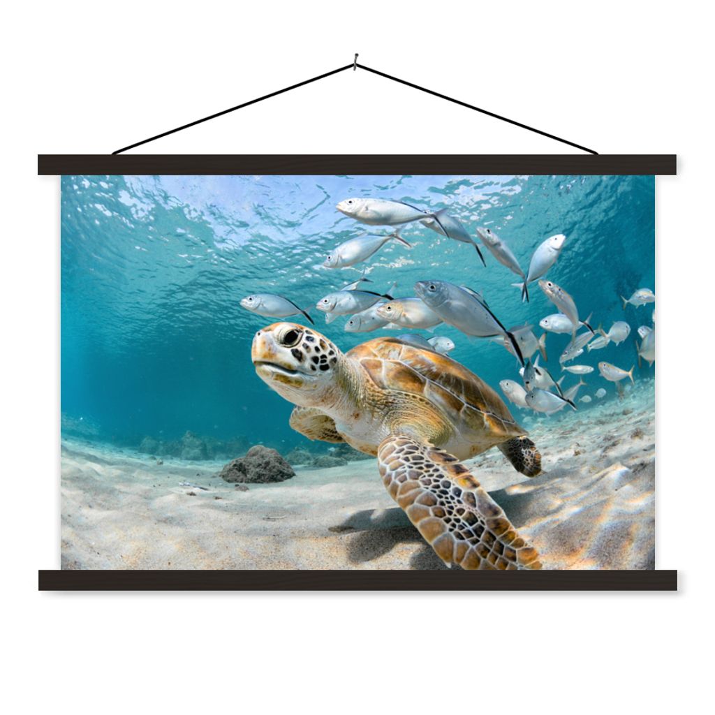 MuchoWow Textilposter Schildkröte - Fisch - Meer 150x100 cm mit schwarzem Rahmen - Schlafzimmer
