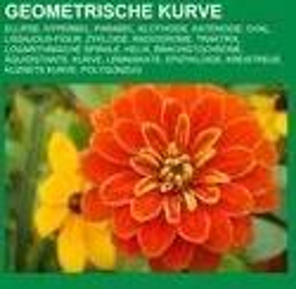 Geometrische Kurve