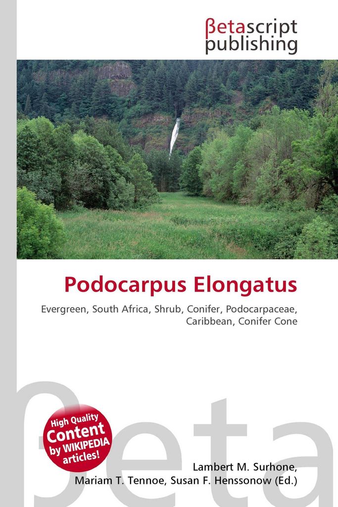Podocarpus Elongatus