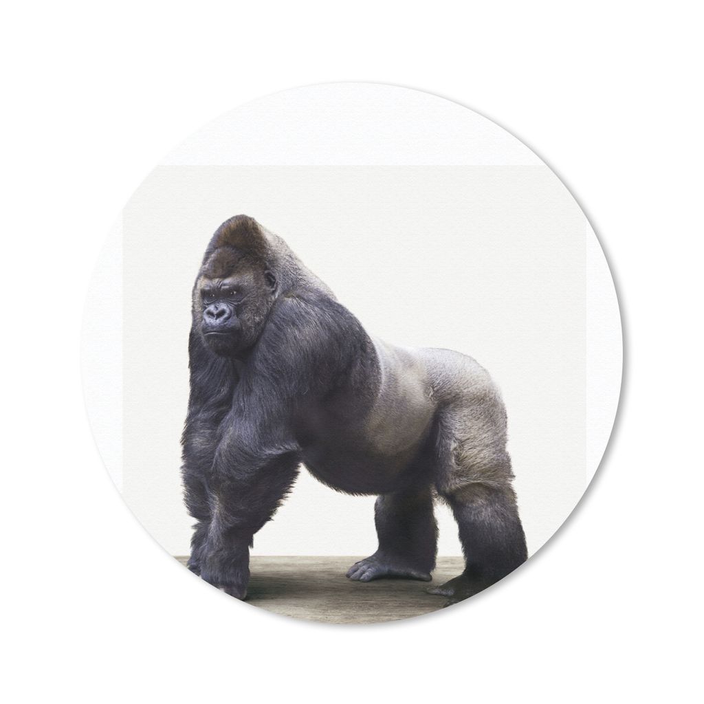 MuchoWow Mauspad Mousepad Tier - Gorilla - Affe 40x40 cm - Mousepads - Maus Mat - Pad - Mausunterlage - Schreibtisch Accessoires