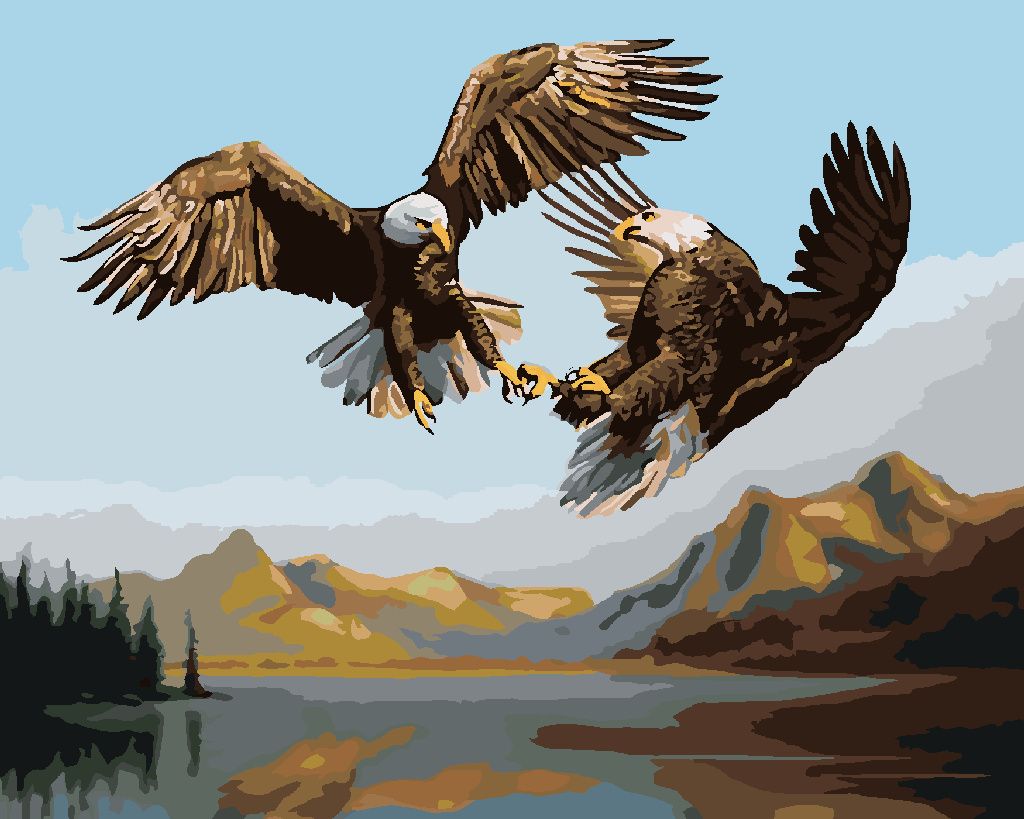 Zuty - Malen nach Zahlen - ADLER IM KAMPF - NAHAUFNAHME (D. RUSTY RUST), 40x50 cm, mit Keilrahmen (bereits gespannt)