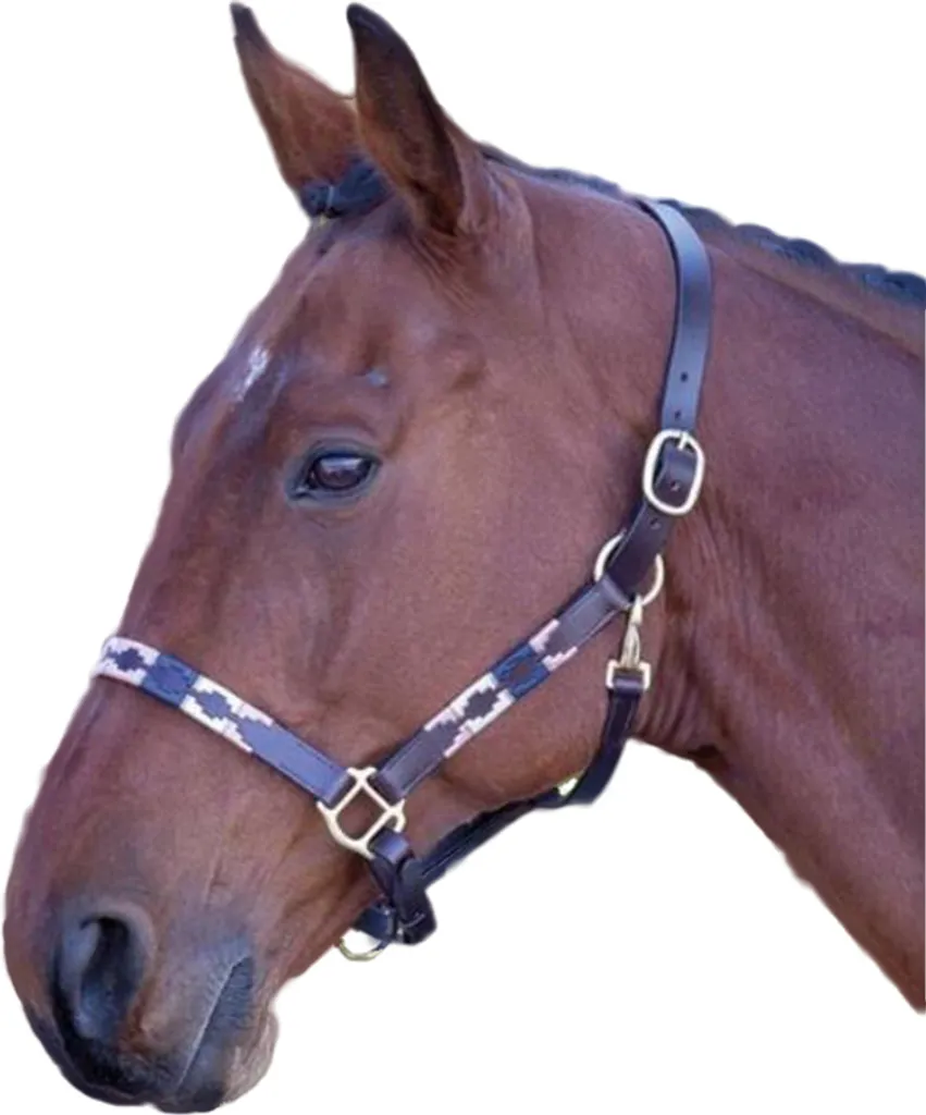 Licol de transport en cuir pour poney Shires ER812 rose et bleu
