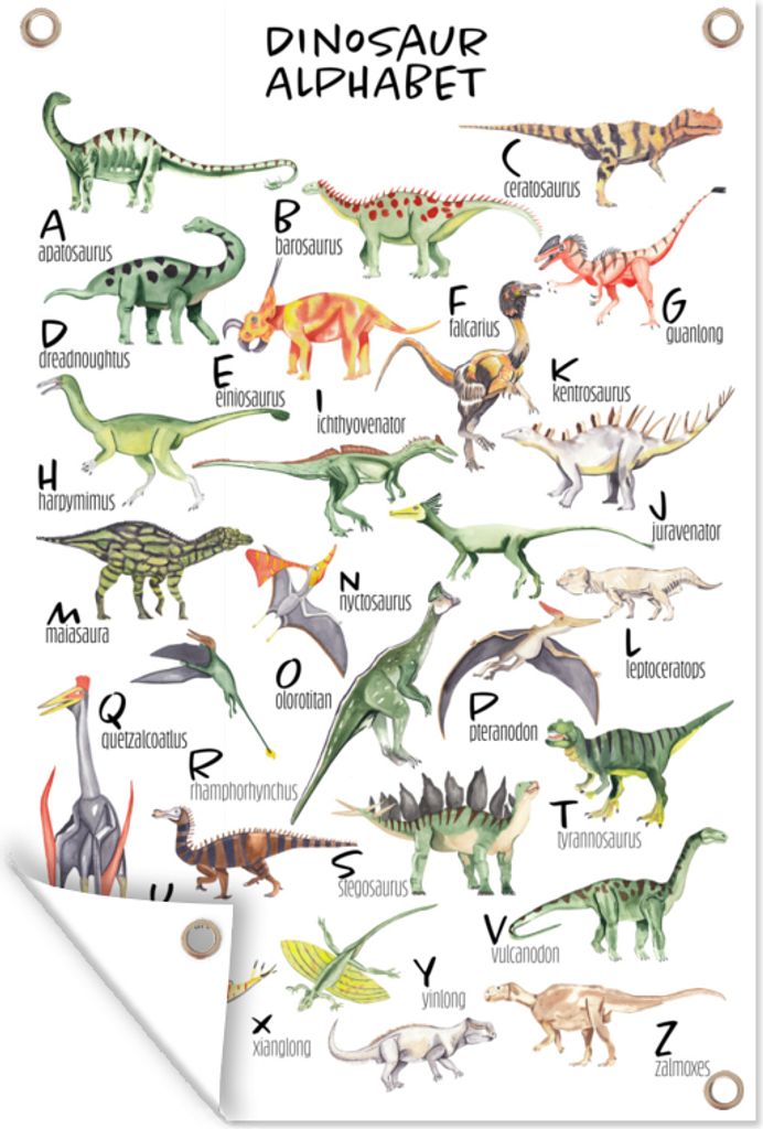 MuchoWow 40x60 cm Outdoor-Poster Gartendeko Sichtschutz Garten Poster für den Garten Alphabet - Dinosaurier - Jungen - Mädchen - Lernen