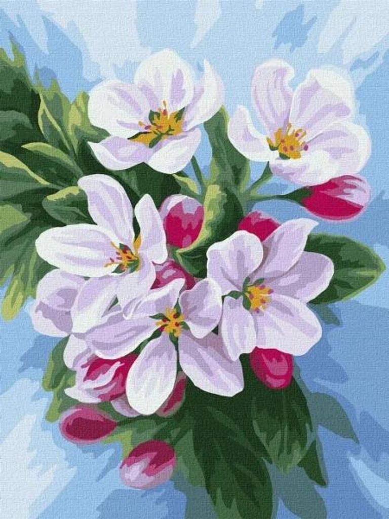 Malen nach Zahlen – Apfelblüte 30 x 40 cm – Ideyka
