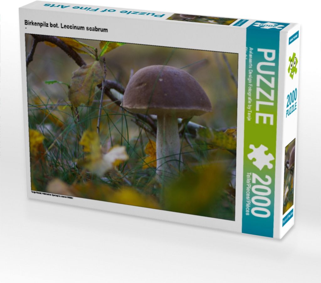 CALVENDO Puzzle Birkenpilz bot. Leccinum scabrum | 2000 Teile Lege-Größe 90x67cm Foto-Puzzle für glückliche Stunden
