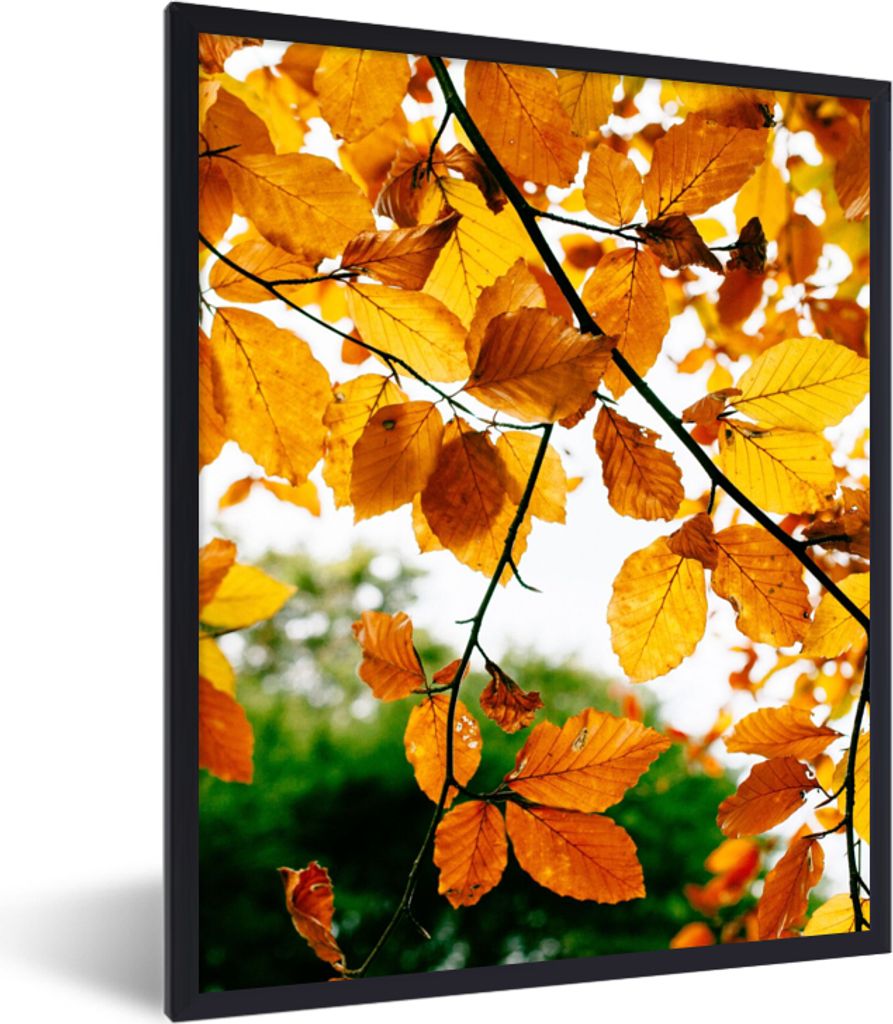 MuchoWow Gerahmtes Poster Herbstblätter - Baum - Rustikal 60x80 cm - Poster mit Schwarzem Bilderrahmen Wandposter Rahmen Foto Bilder - Premium -...