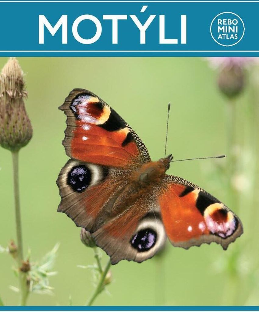 Motýli miniatlas | kolektiv