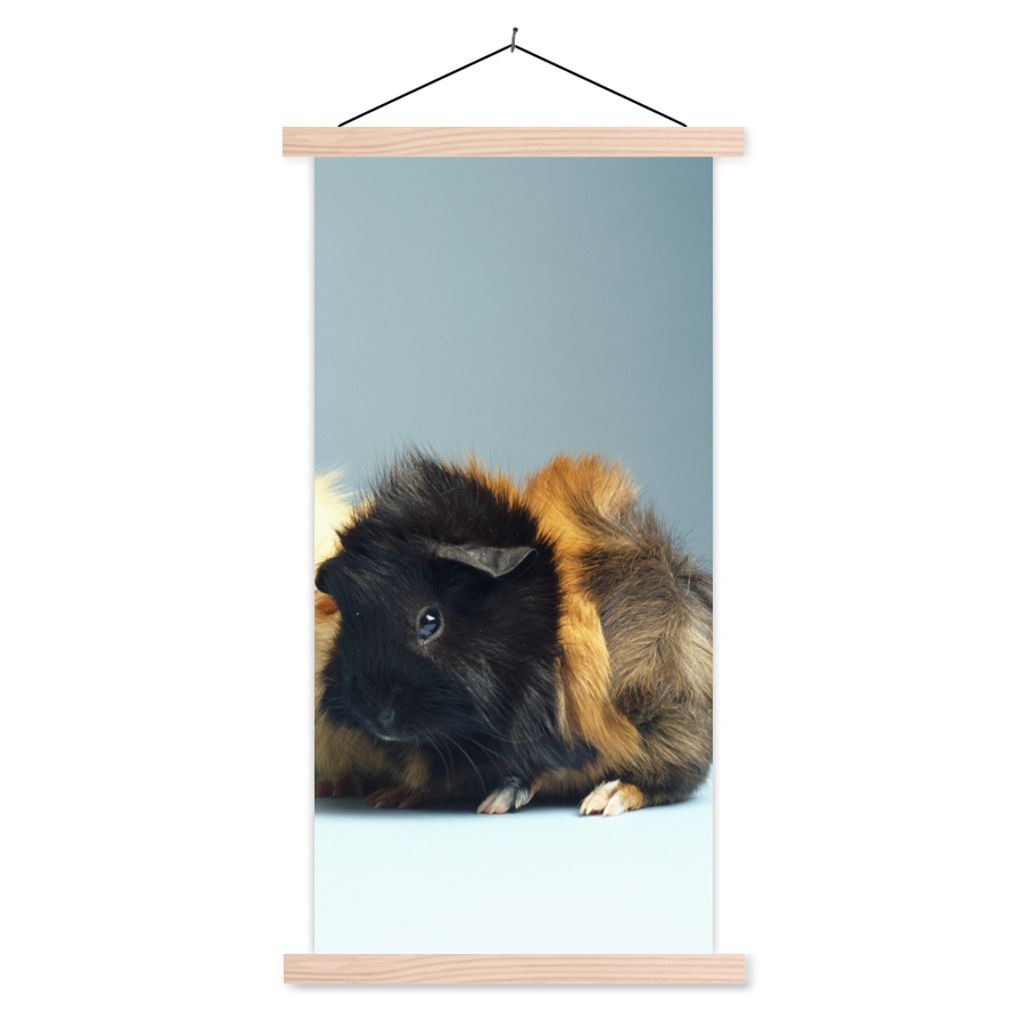 MuchoWow Textilposter Zwei kleine Meerschweinchen 60x120 cm mit holzfarbenen Rahmen - Holz
