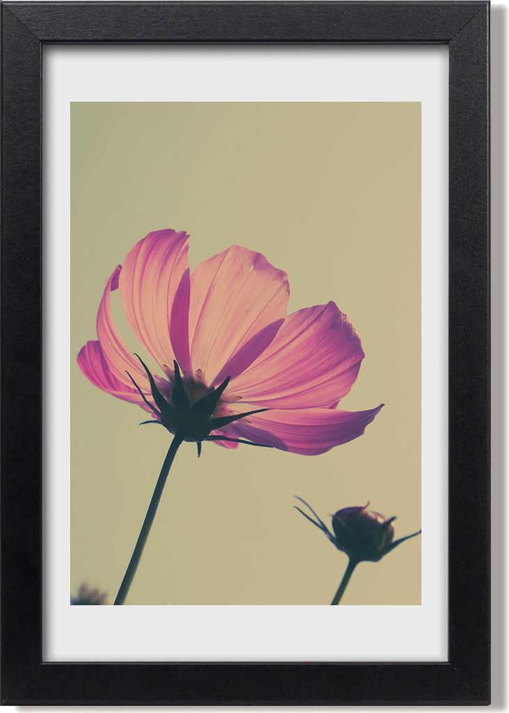 Bild 20x30 MDF-Rahmen, Wandkunst Rosa Blumen Produktbild 