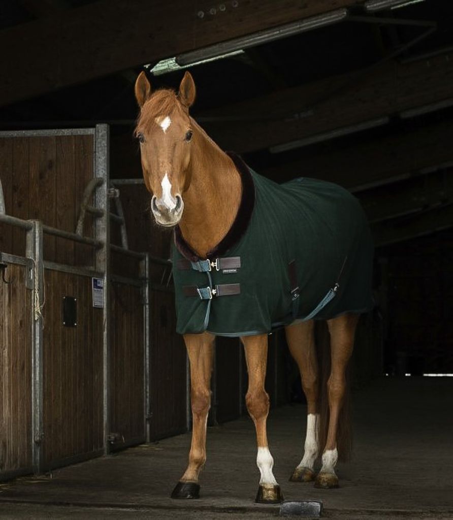 Equithème Teddy Polarfleecedecke
