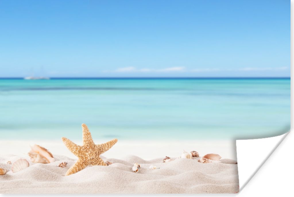 MuchoWow Poster Strand - Meer - Muscheln - Seesterne 180x120 cm - Fotoplakat