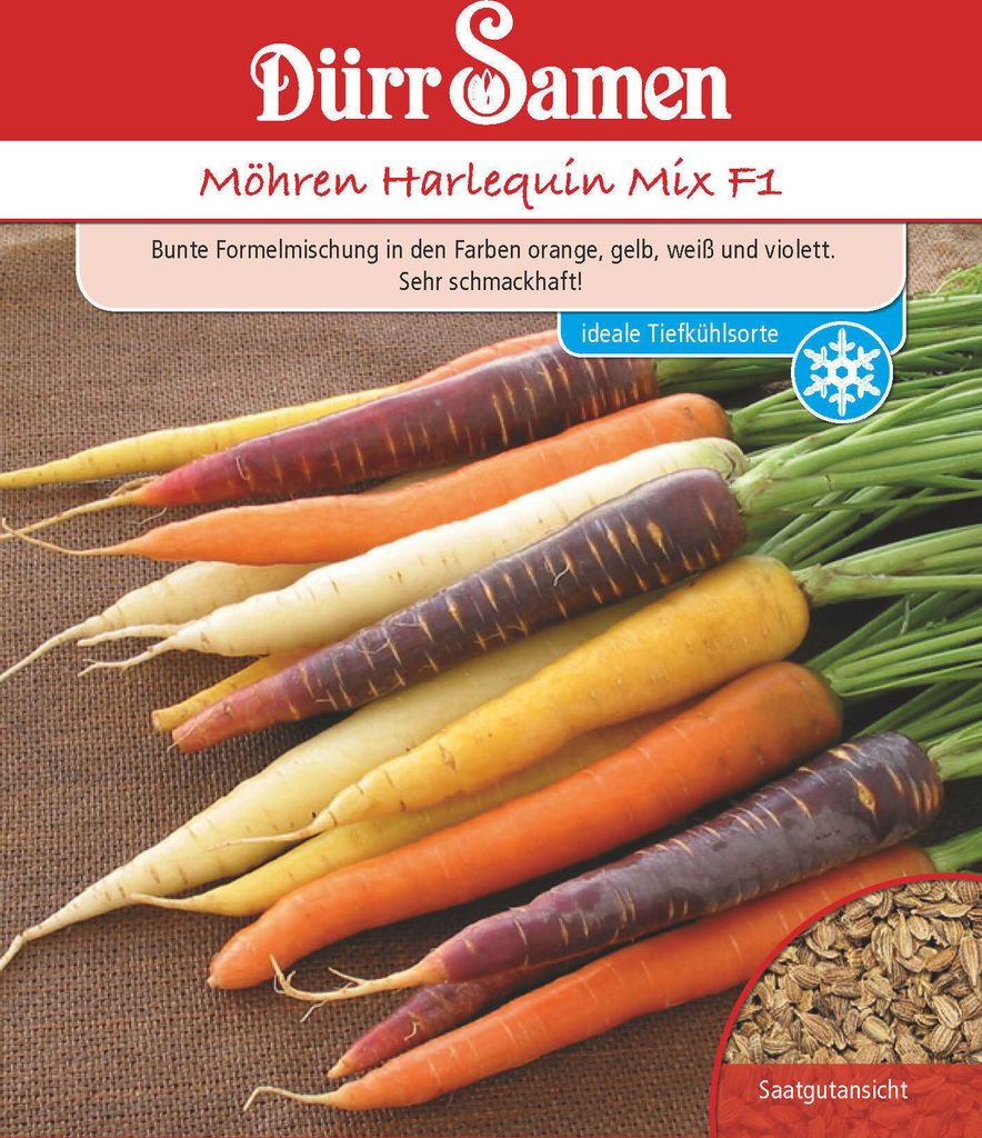 Möhre Harlequin Mix F1 | Möhrensamen von Dürr Samen Produktbild 