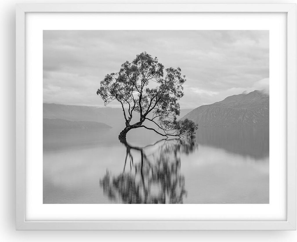 Gerahmtes Poster - Weißer Rahmen - Baum Symmetrie See - 50x40 cm - Wand Bild - Wanddeko - Wandbilder - Kunstposter - Wandposter - Bilderrahmen - B...
