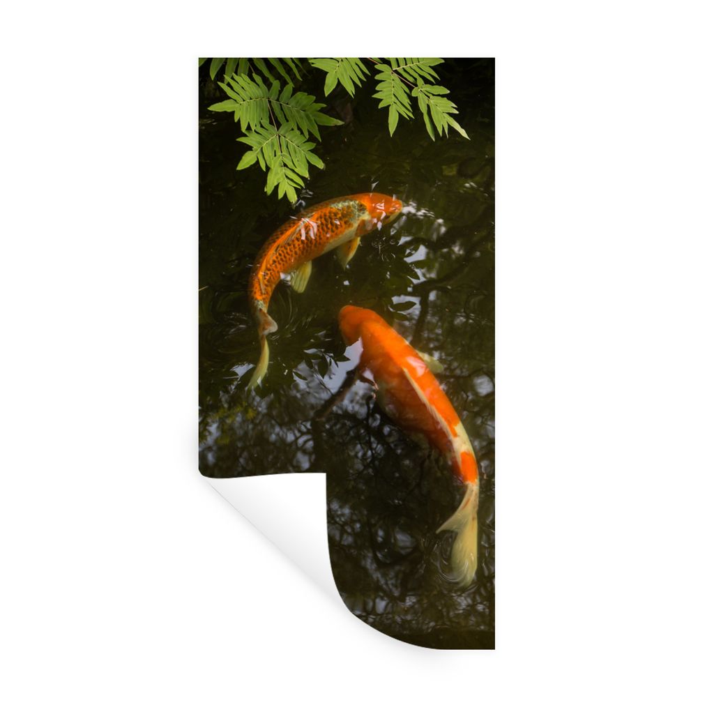 MuchoWow Wandtattoo Wandsticker Wandaufkleber Zwei Koi-Karpfen um einen Teich 60x120 cm Selbstklebend und Repositionierbar - Selbstklebend - Foto...