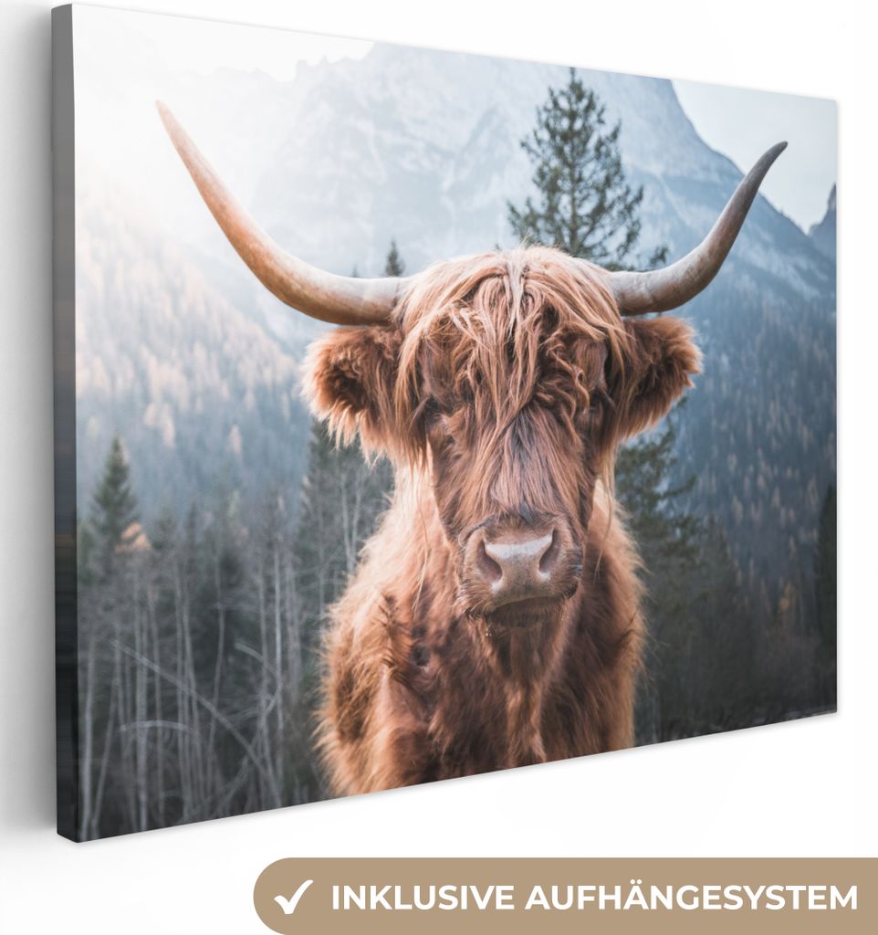 Wanddeko 40x30 cm - Schottisches Hochlandrind - Kuh - Tiere - Berg - Natur, Deko Wohnzimmer, Leinwand Bilder