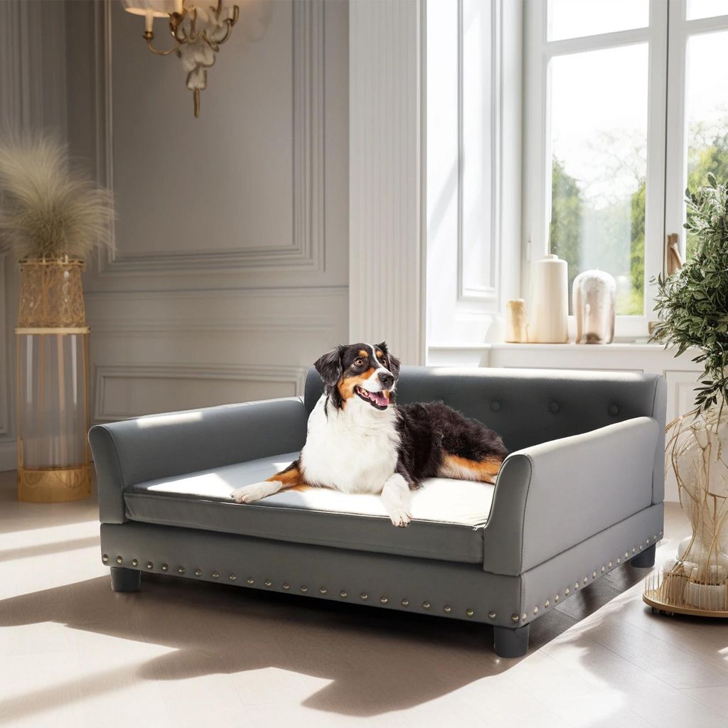 Erhöhtes Hundesofa - Couchbett für mittelgroße und große Hunde - Eukalyptusholzrahmen - Wasserdichtes Mikrofaser-Kunstleder - Abnehmbares Kisse...