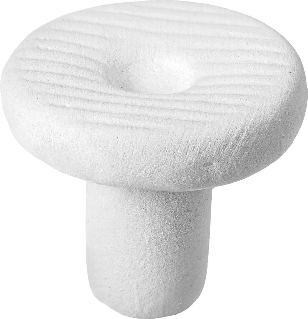 ARKA myREEF Korallenstecklinge Rund 21mm, 12 Stk.