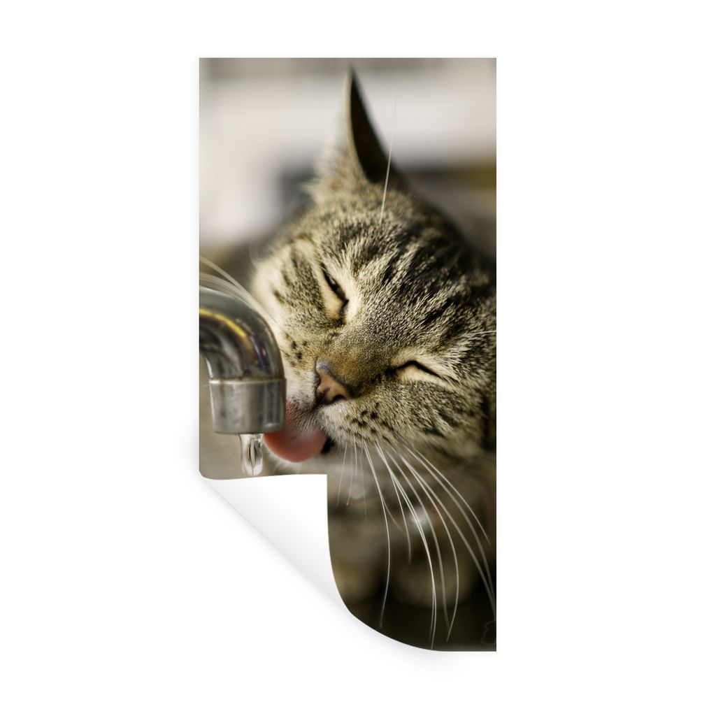 MuchoWow Wandtattoo Wandsticker Wandaufkleber Katze - Wasserhahn - Getränk 80x160 cm Selbstklebend und Repositionierbar - Sticker - Dekorfolie