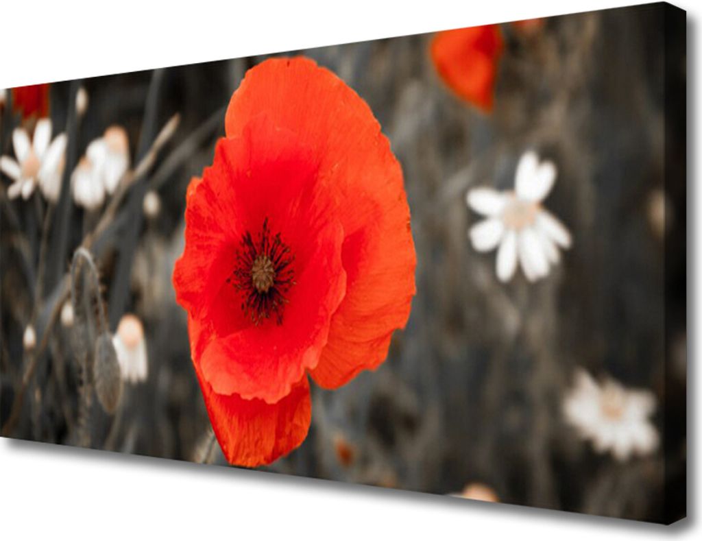 Tulup Leinwand-Bilder 100x50 Wandbild Canvas Kunstdruck Blume Pflanzen
