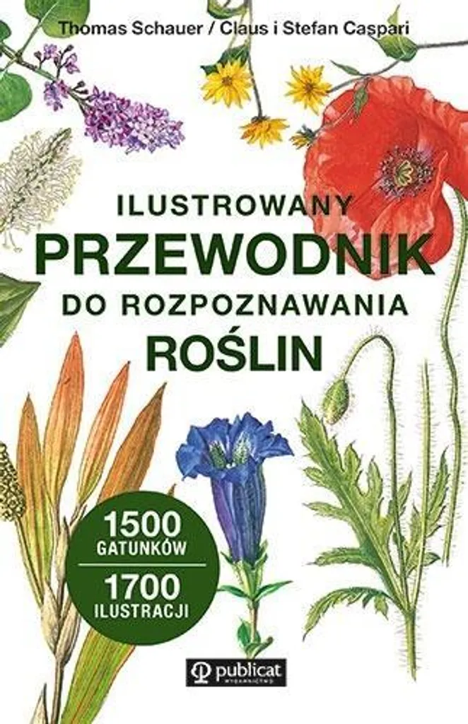 Livre de botanique : guide illustré d'identification des plantes sauvages